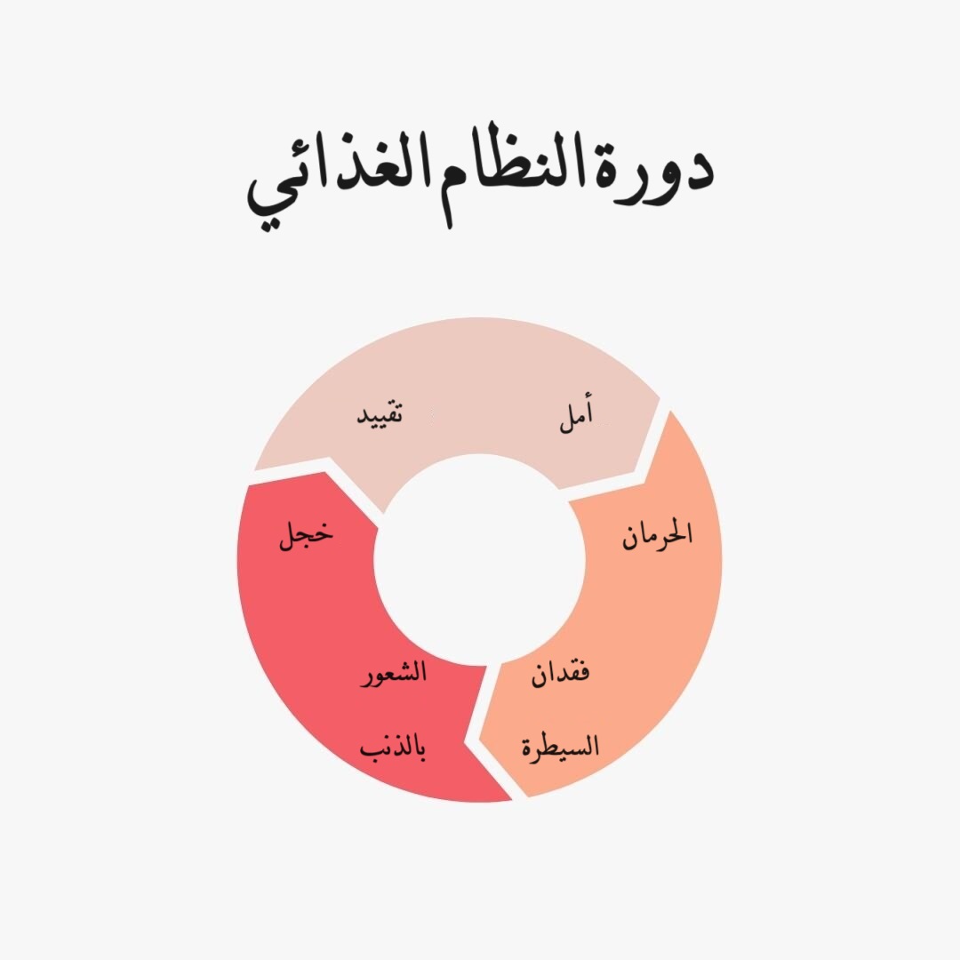 دورة النظام الغذائي