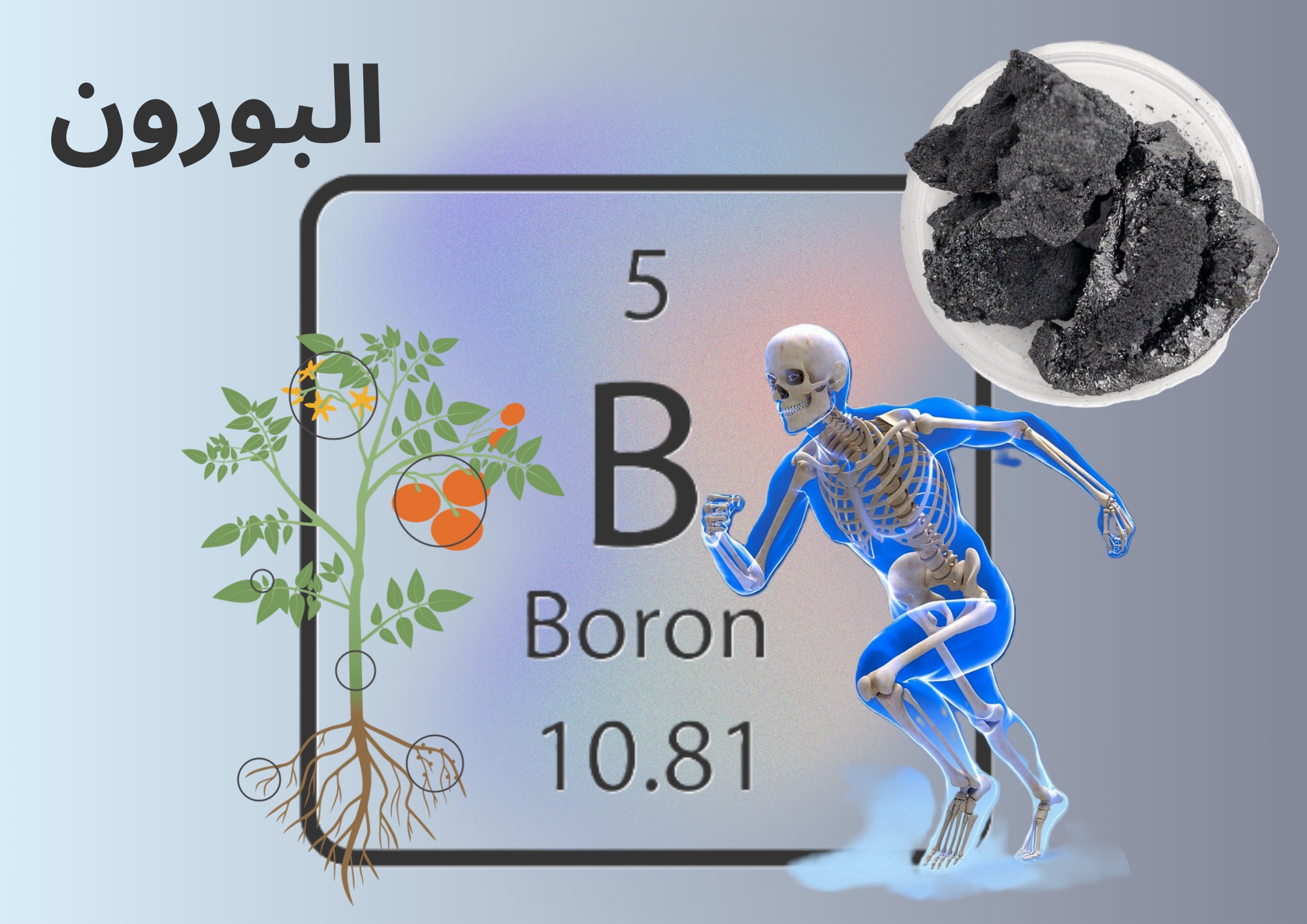 عنصر البورون boron	