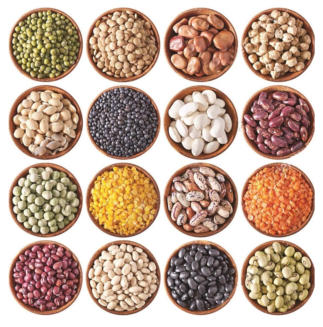 	lectins ليكتين بقوليات