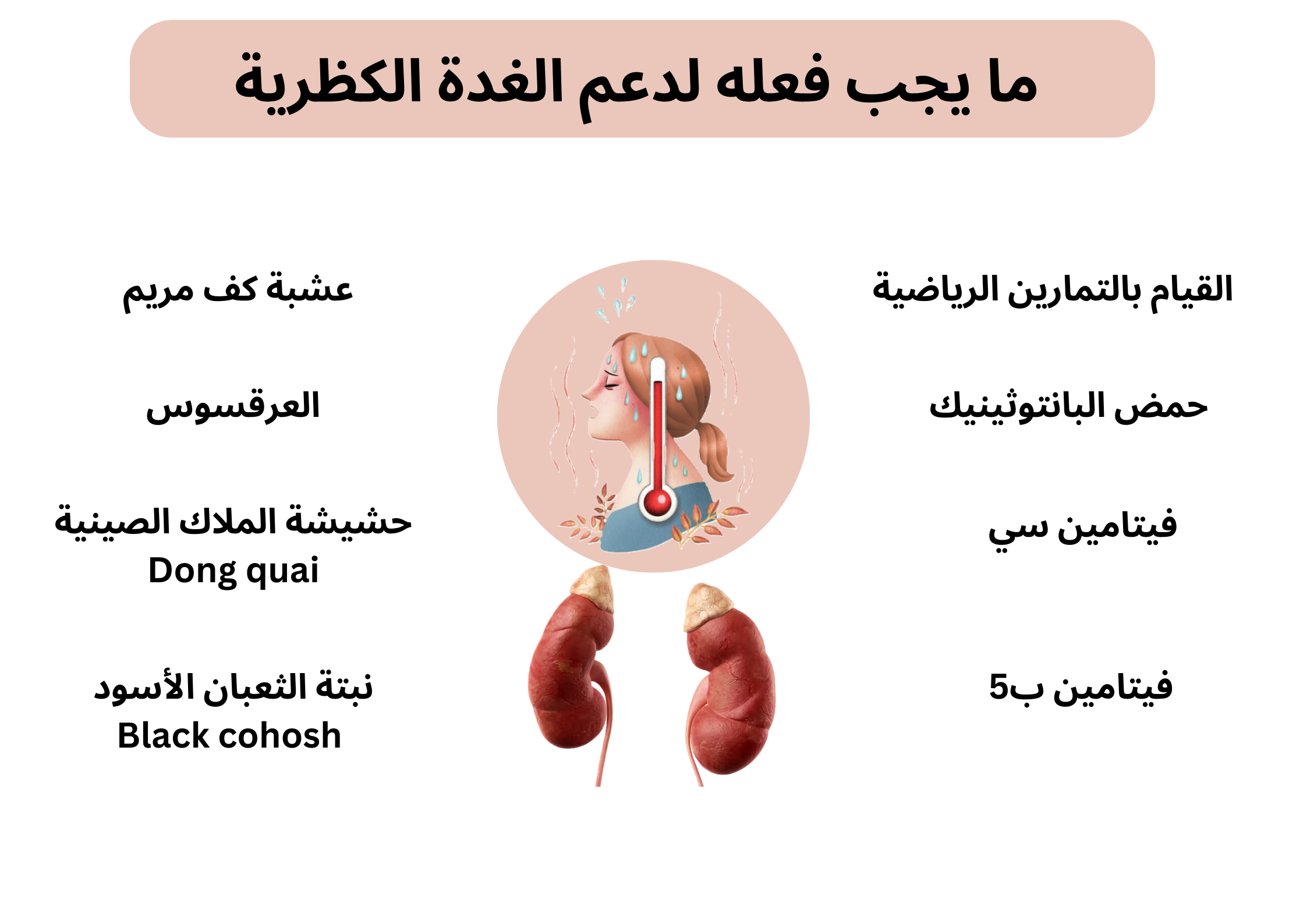 ما يجب فعله لدعم الغدة الكظرية	