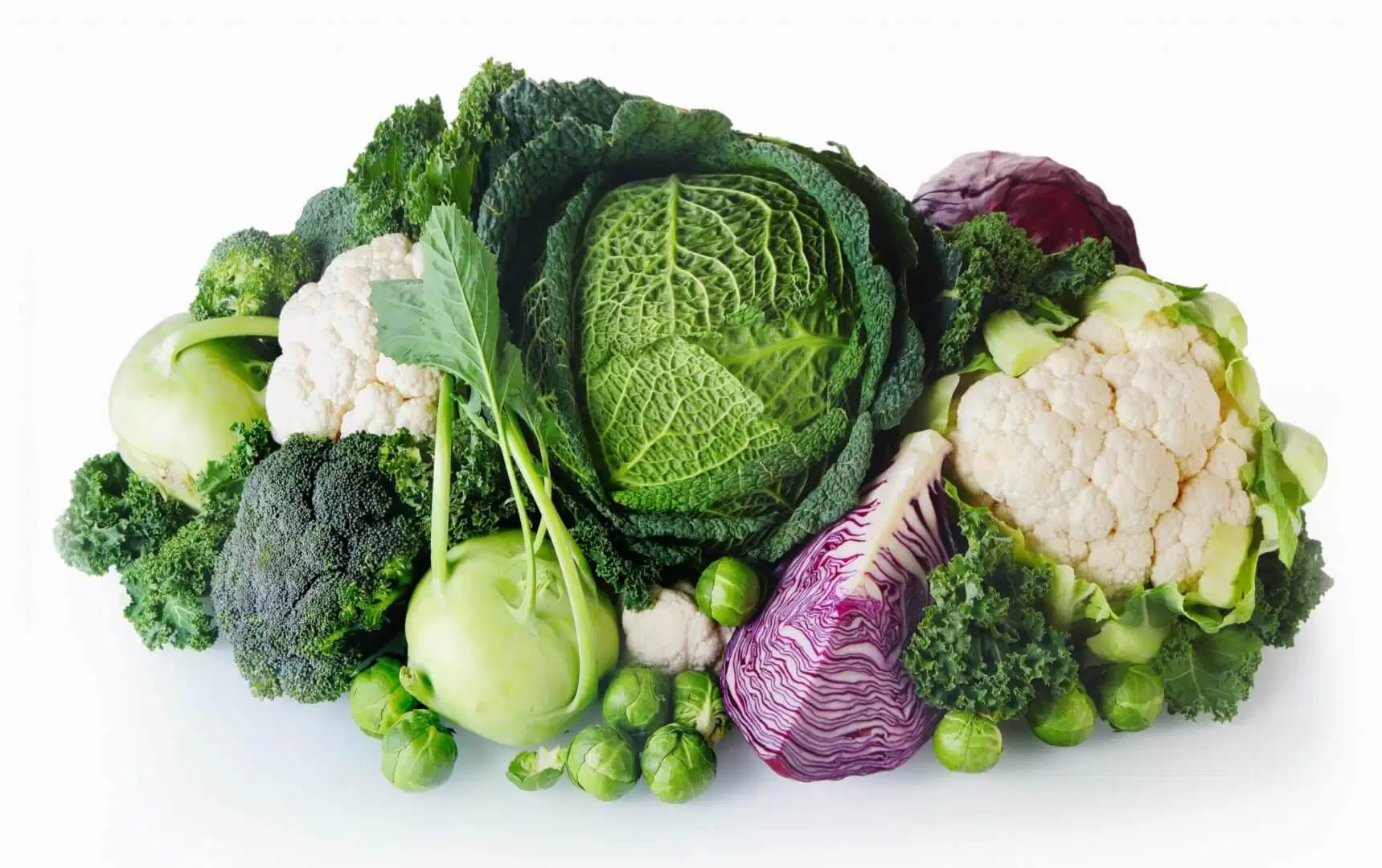 الخضروات الصليبية Brassica family