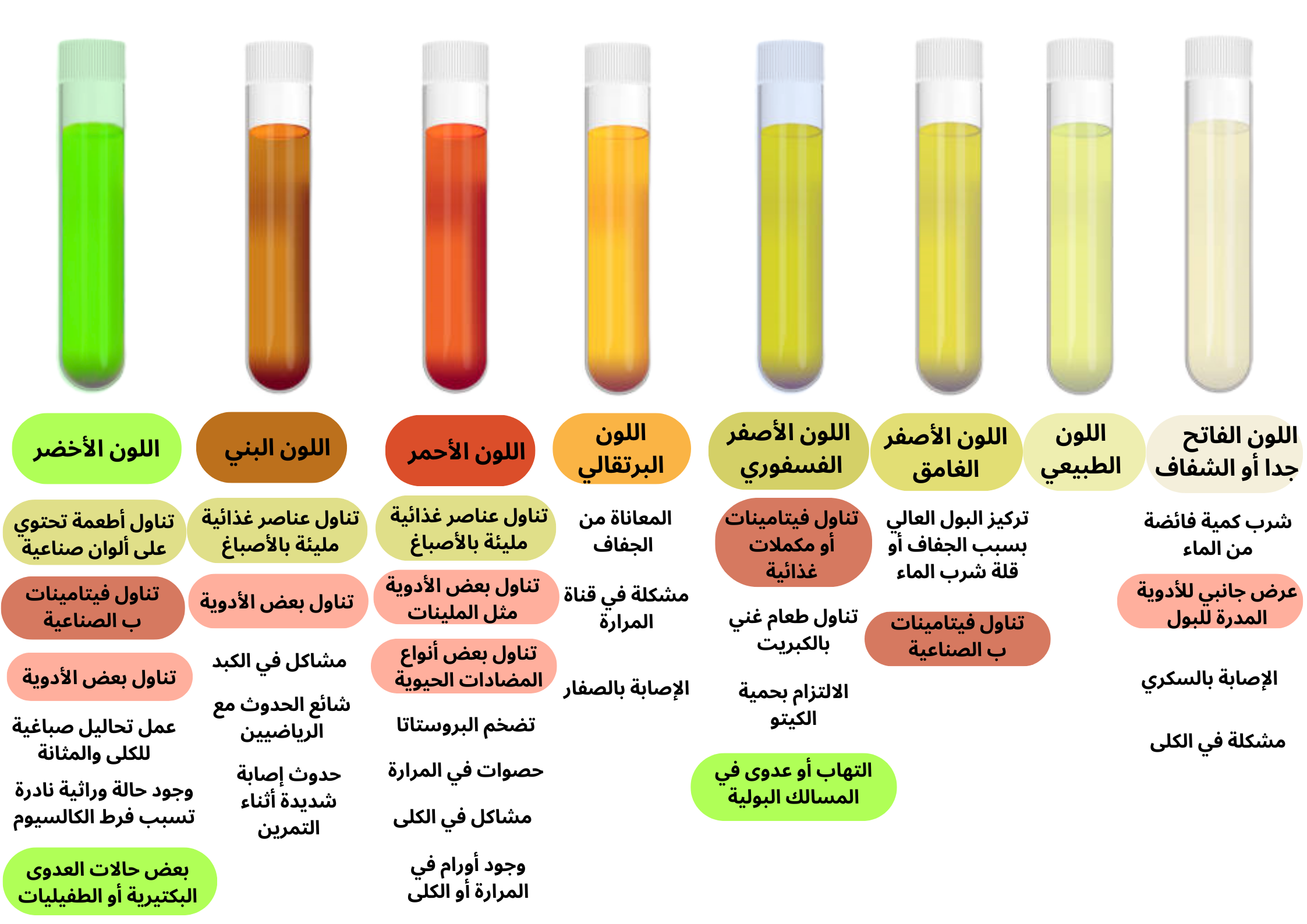 دلالات ألوان البول	