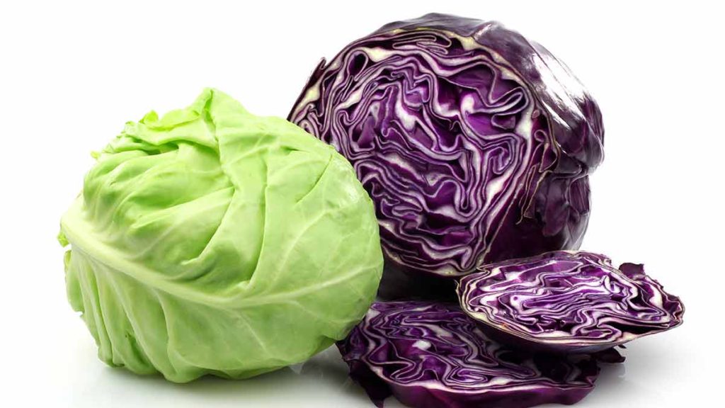 ملفوف cabbage كرنب