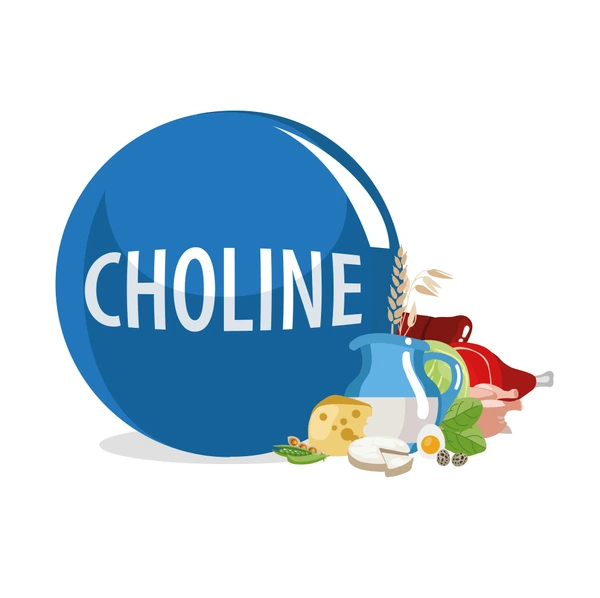 	choline كولين b4