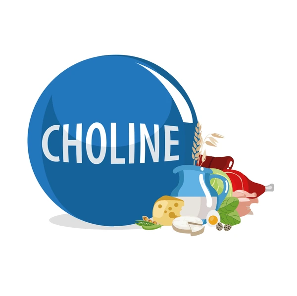 choline كولين b4	