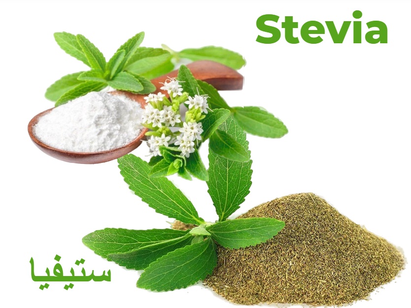 stevia ستيفيا	