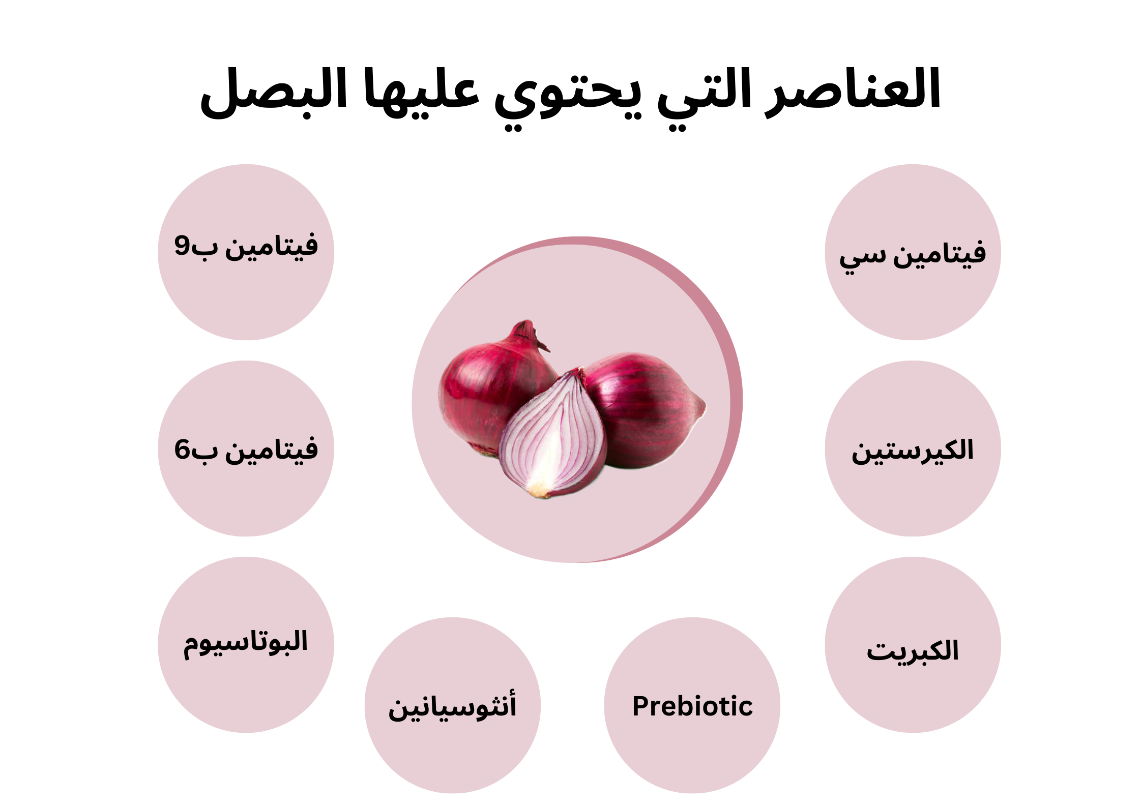 العناصر التي يحتوي عليها البصل