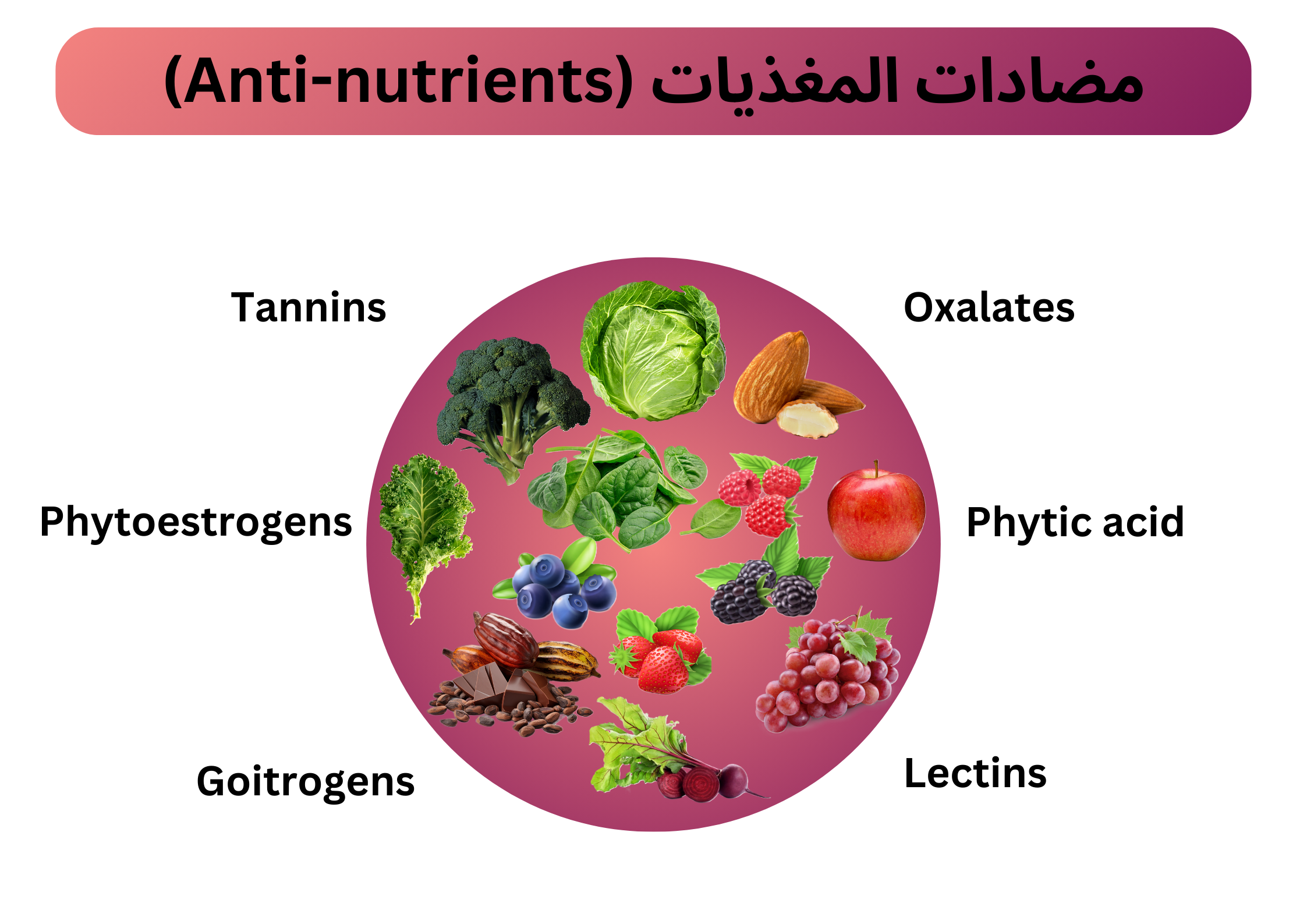 مضادات المغذيات (Anti-nutrients)	