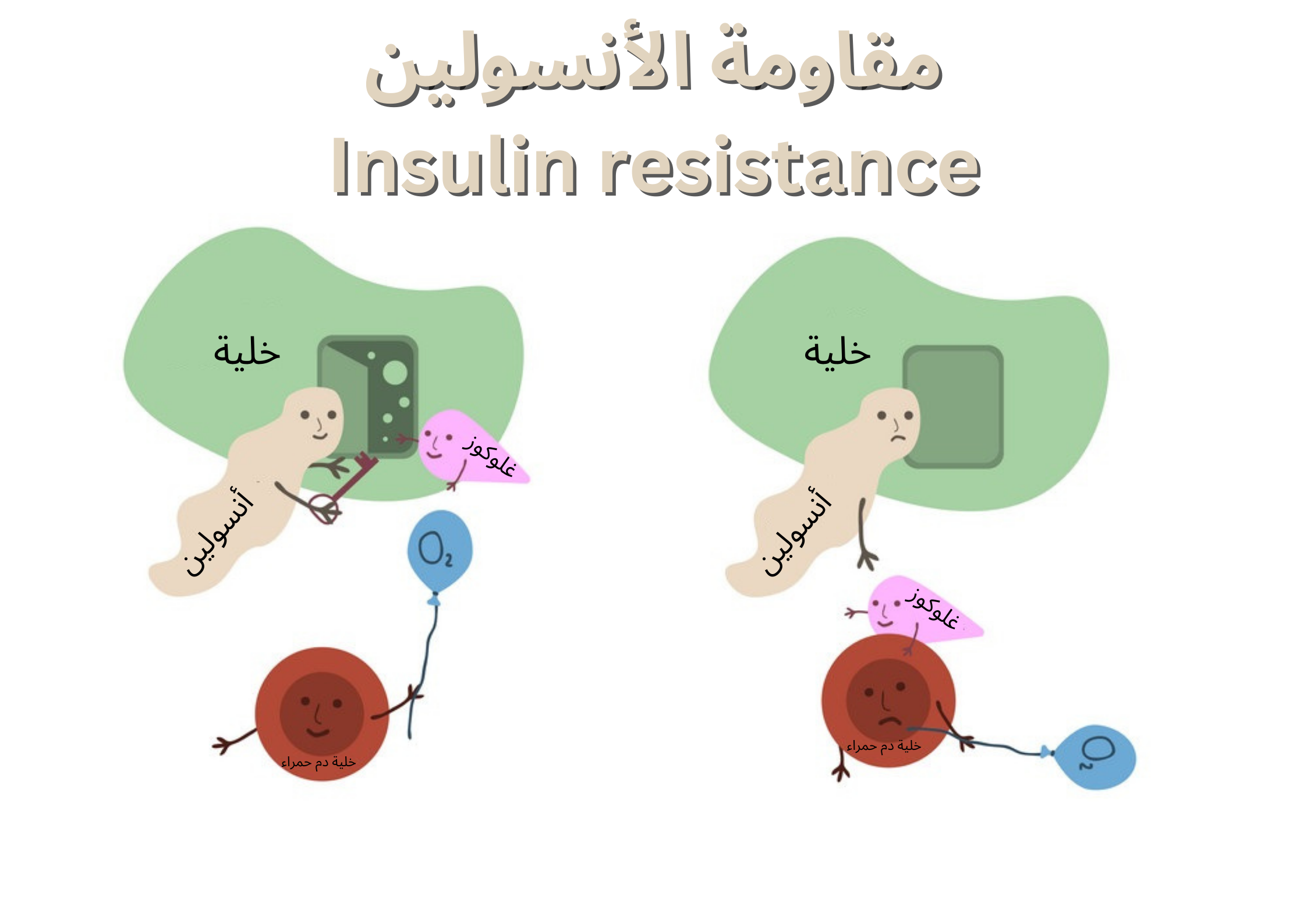 insulin resistance مقاومة الأنسولين	