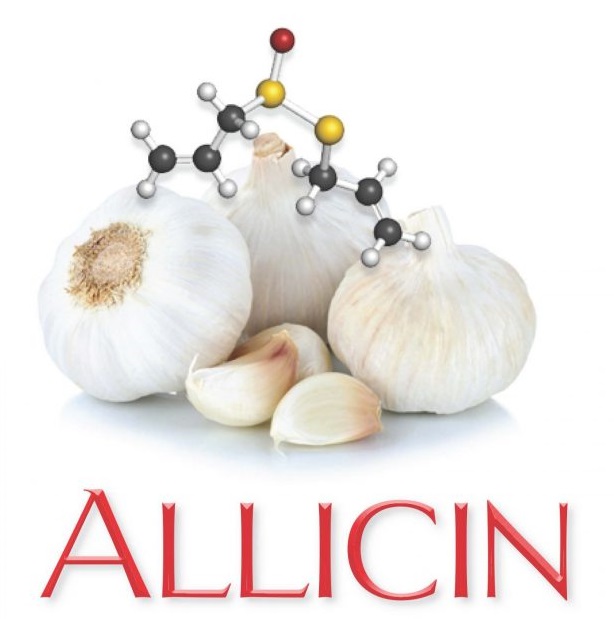 	Allicin مادة أليسين