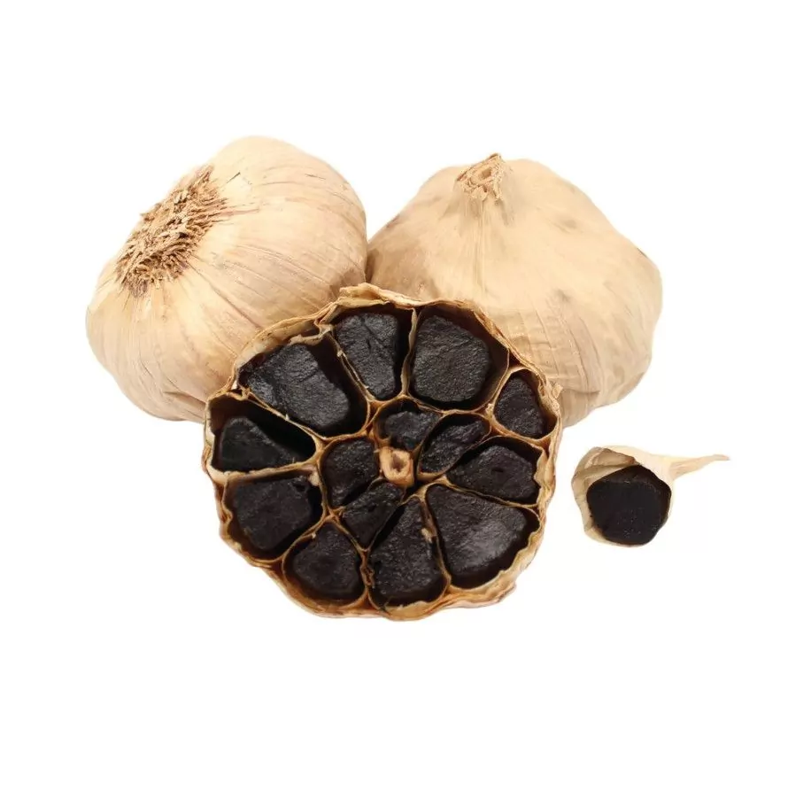 aged garlic الثوم المعمر	