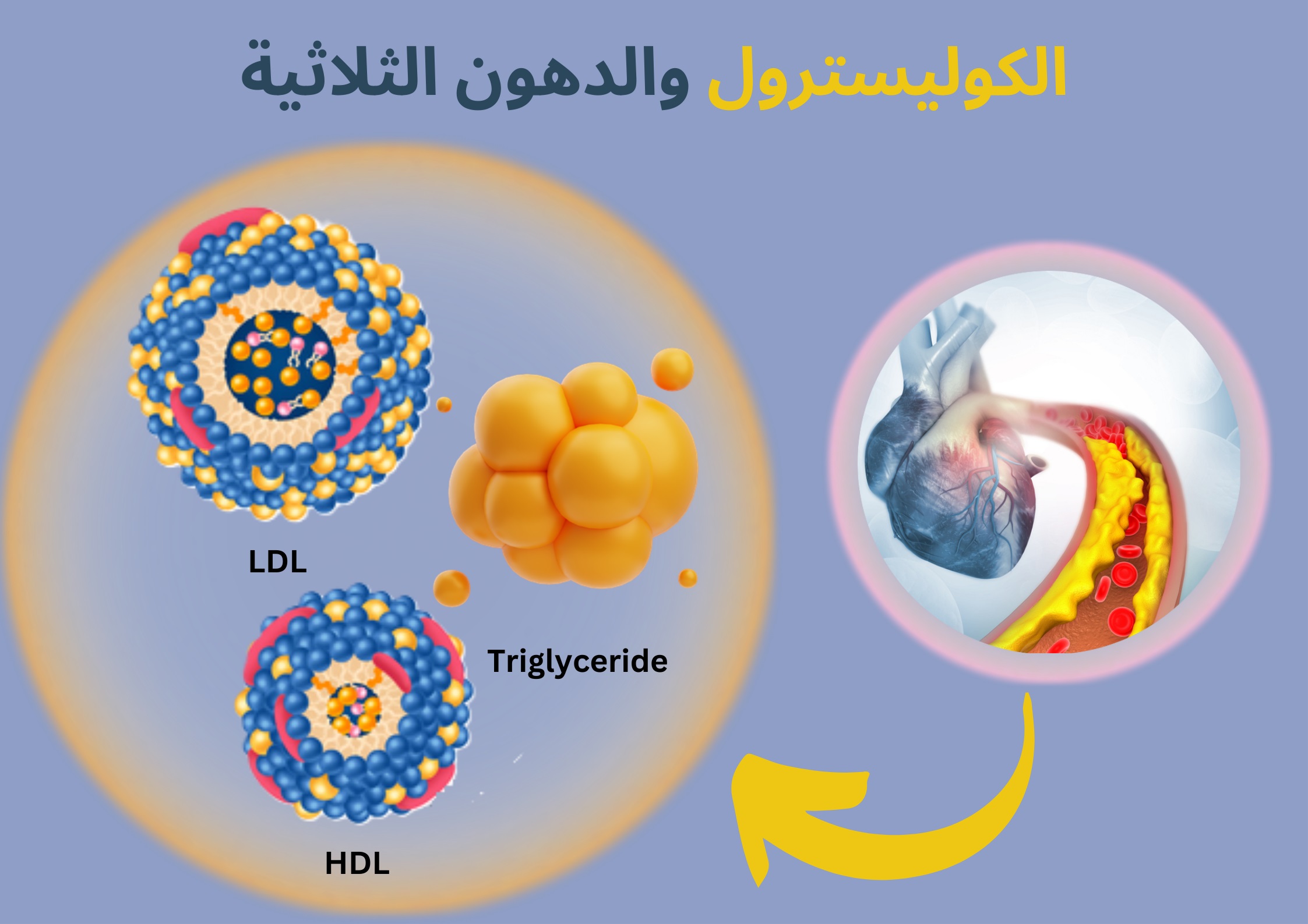 الكوليسترول والدهون الثلاثية	