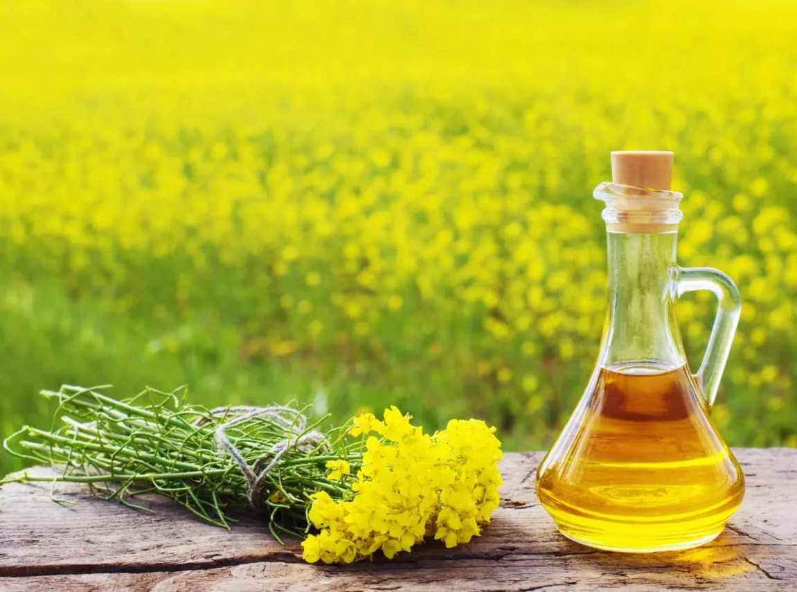 mustard oil زيت الخردل	