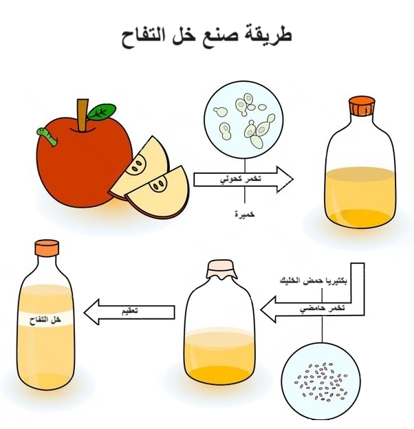 طريقة صنع خل التفاح	