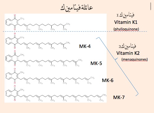 عائلة فيتامين ك