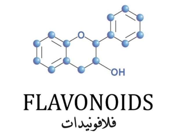 	flavonoids فلافونويدات