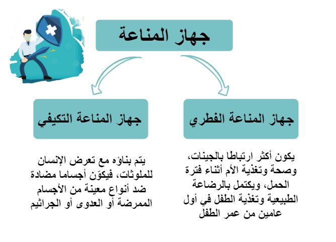 جهاز المناعي الفطري والمكتسب	