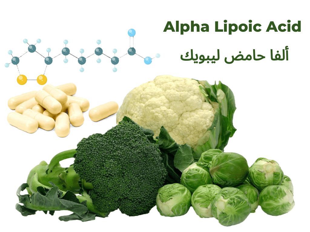 Alpha Lipoic Acid ألفا حامض الليبويك	