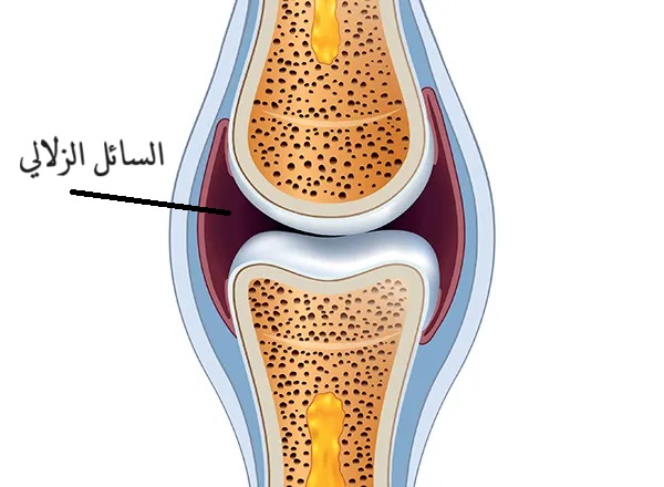 السائل الزلالي