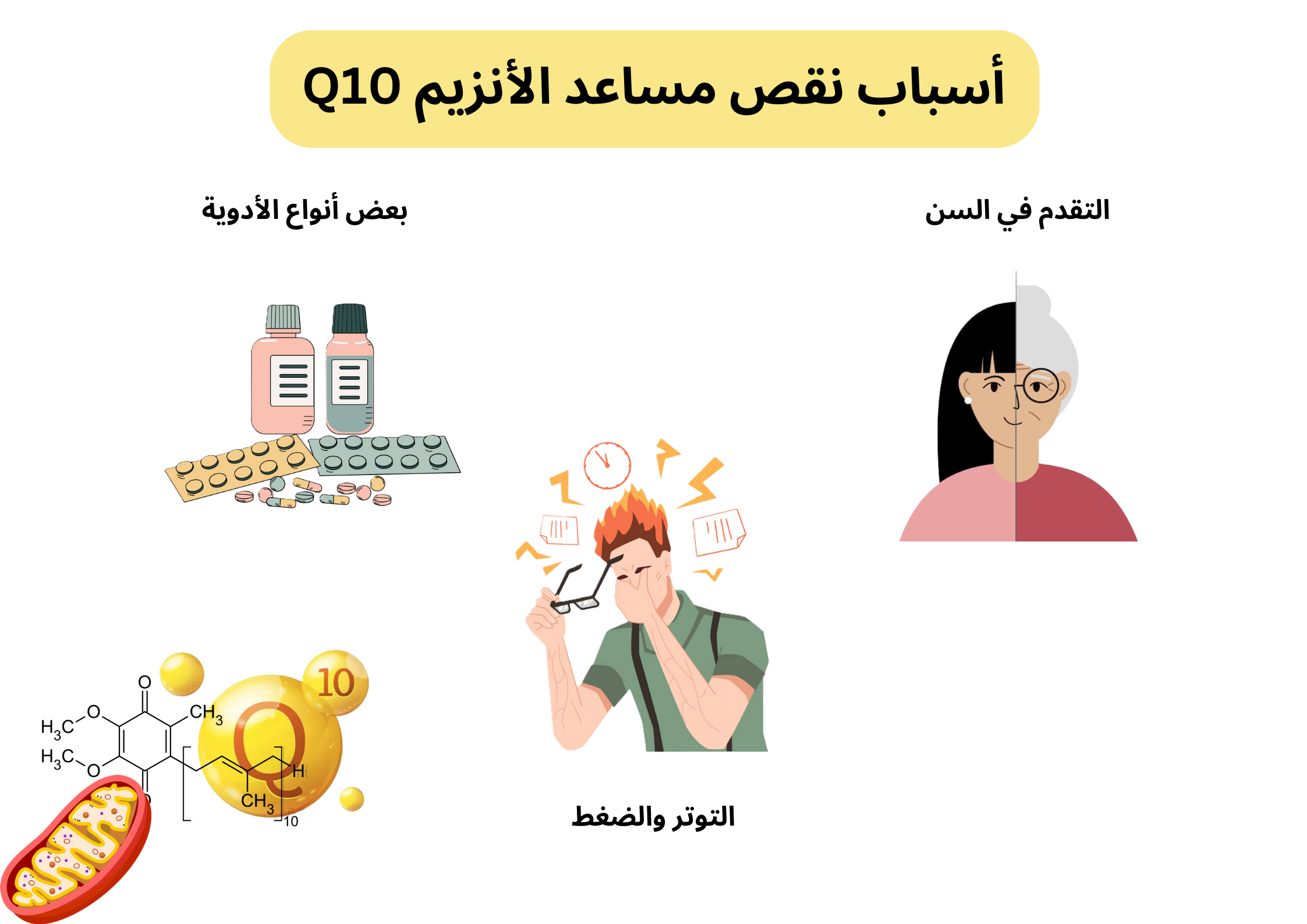 أسباب نقص مساعد الأنزيم Q10	