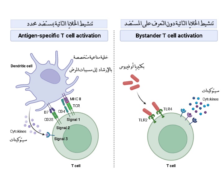 Bystander activation