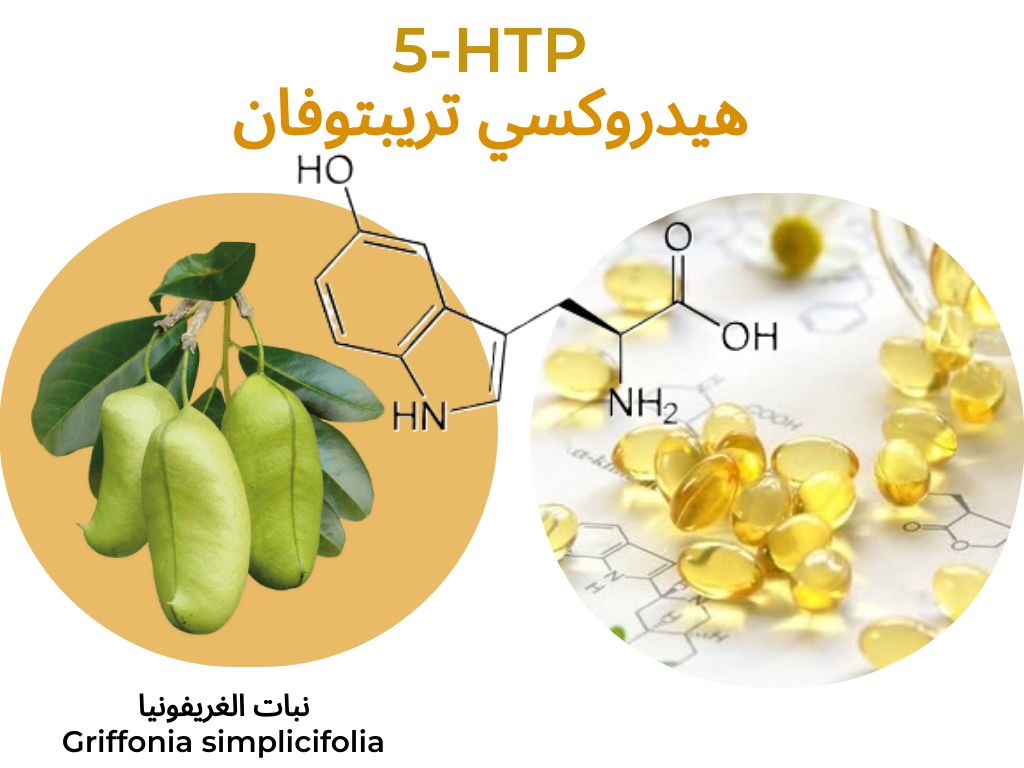 هيدروكسي تريبتوفان 5-HTP نبات الغريفونيا	