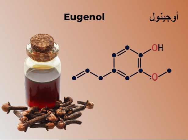 أوجينول eugenol	