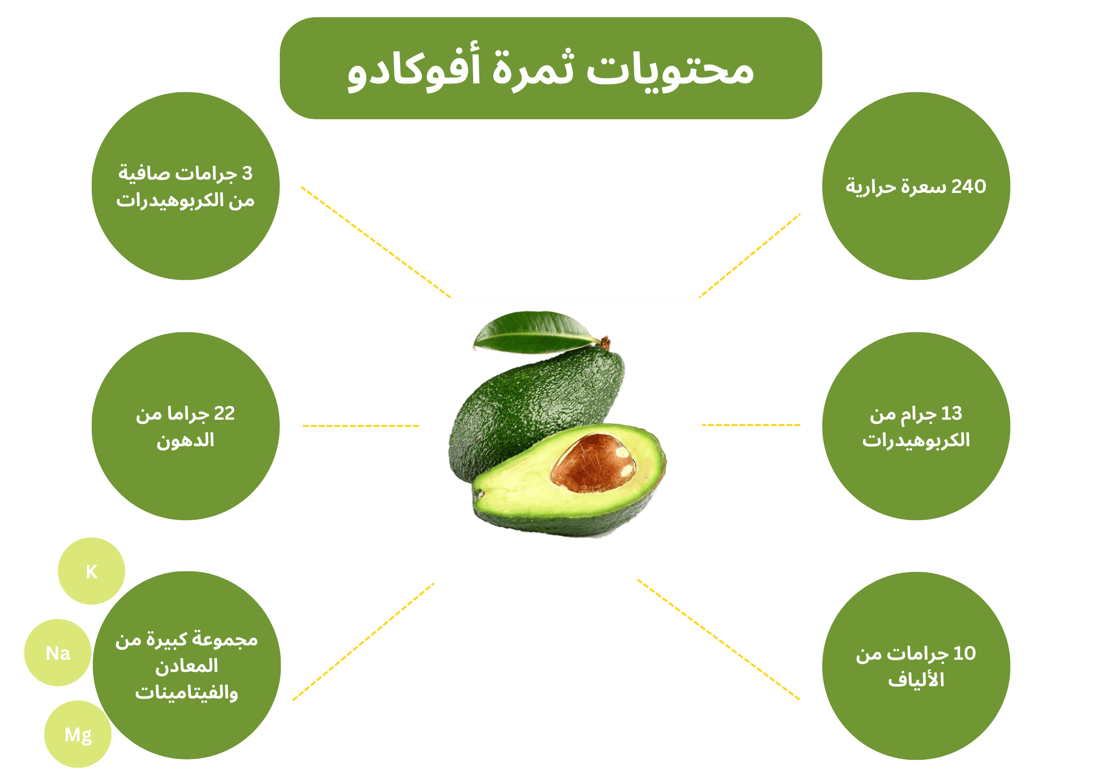 محتويات ثمرة الأفوكادو	